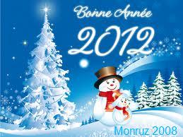 Voeux 2011 b