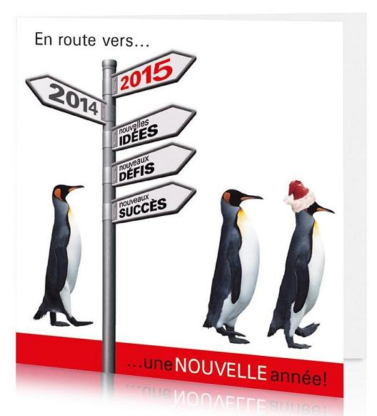 Voeux 2015 3